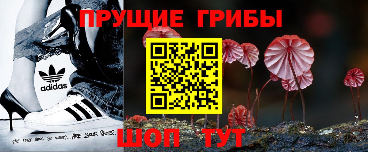 Галлюциногенные грибы ЛСД Амурск