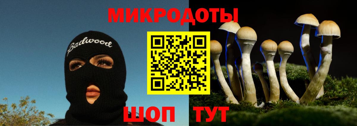 Псилоцибиновые грибы прущие грибы  Вход с VPN  Амурск  Галлюциногенные грибы прущие грибы 
